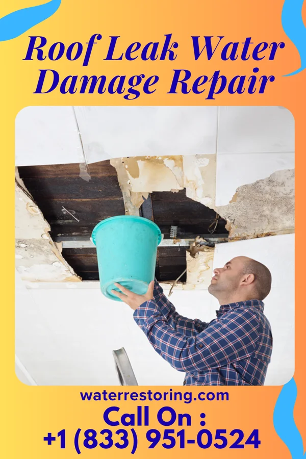 Roof Leak Water Damage Repair in Gulfport, MS